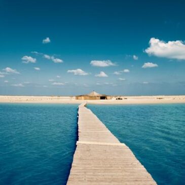L’île de Djerba parmi les 10 meilleures destinations dans le monde