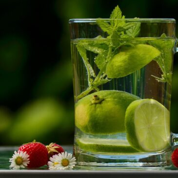 Master detox